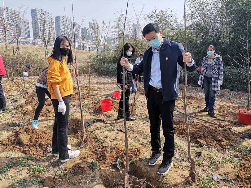 组织参加义务植树活动