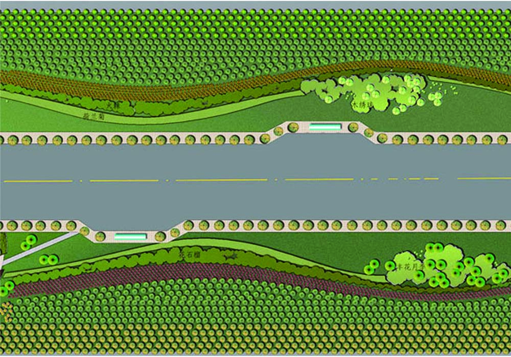 双岭路道路设计